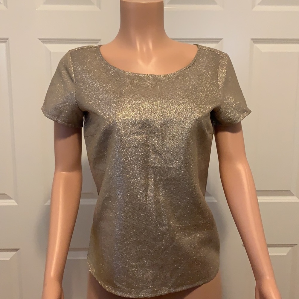 NWT Stunning Champagne/Gold top